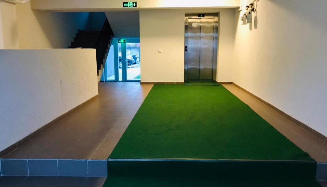 Apartment Piatra Craiului Zarnesti