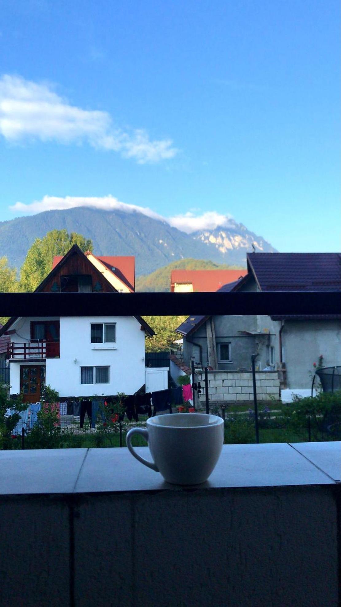 Piatra Craiului Apartment Zarnesti